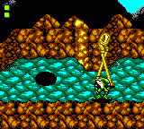Игра Battletoads (Sega Game Gear)