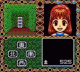 Игра Madou Monogatari A - Doki Doki (Sega Game Gear)