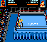 Игра WWF Steel Cage Challenge (Sega Game Gear)