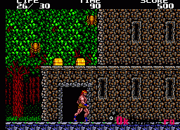 Игра Danan the Jungle Fighter