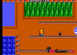 Игра New Zealand Story, The (Sega Master System)