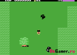 Игра Ninja Princess (Sega Master System)