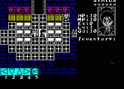 Игра Harry the Magical: The Hero Hallows (ZX Spectrum)