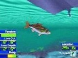 Игра Bassmasters 2000