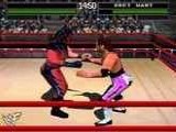 Игра WWF - War Zone