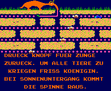 Ameisenbaer