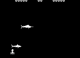 Blue Shark