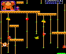 Donkey Kong Junior
