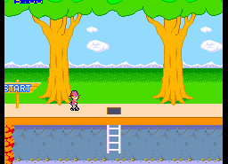 Pitfall II