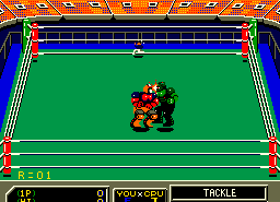 Robo Wres 2001