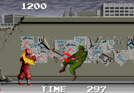 The Ninja Warriors