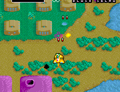 Wonder Planet